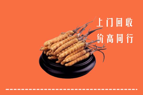 黔东南冬虫夏草回收多少钱每克