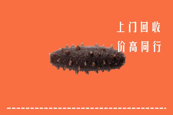 黔东南高价回收海参