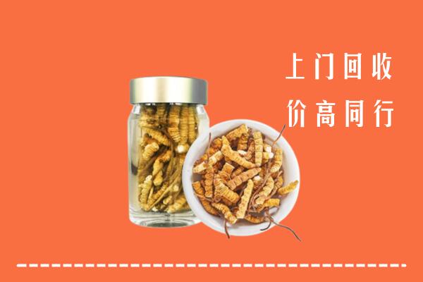 黔东南回收冬虫夏草